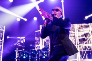 pitbull in new orleans